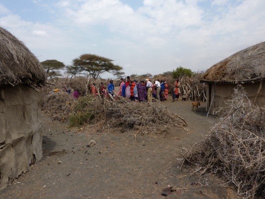 Maasai village