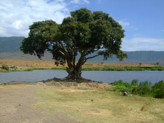 Ngorongoro crater